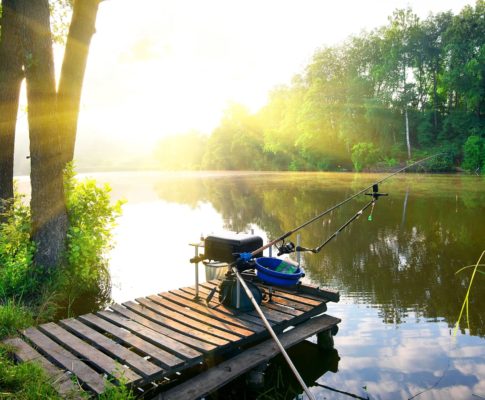 Budget Friendly Fishing