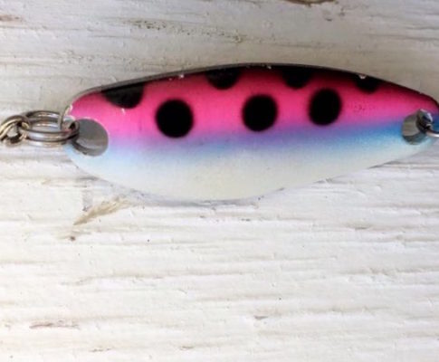 Tackle Club – Gibbs Delta Croc